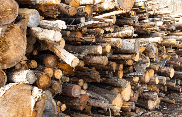 comment reconnaitre essence bois de chauffage ; reconnaitre les essences de bois de chauffage ;